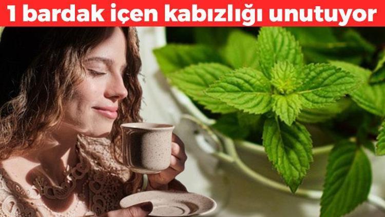 Bağırsakları anında boşaltıyor 1 bardak içen kabızlığı unutuyor, karnı dümdüz oluyor