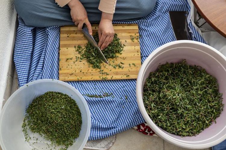 MİNERAL VE VİTAMİN ZENGİNİ