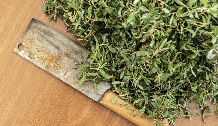 ZENGİN BİR ANTİOKSİDAN KAYNAĞI