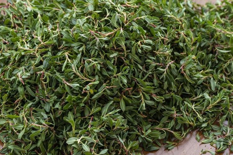 İLTİHABIN KÖKÜNÜ KURUTUYOR