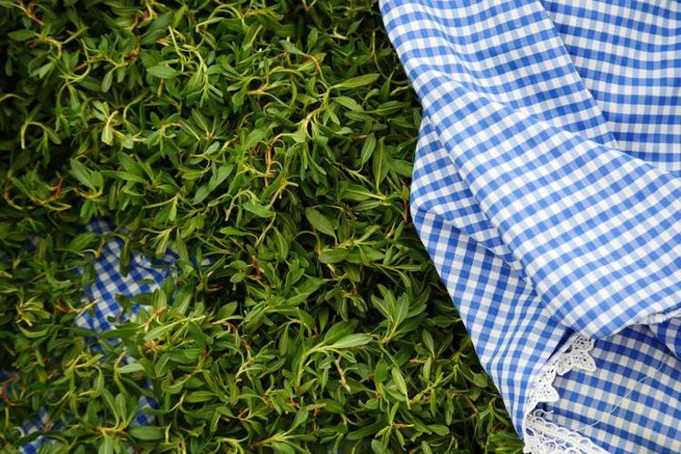 İDRARI VE ENFEKSİYONU SÖKTÜRÜYOR