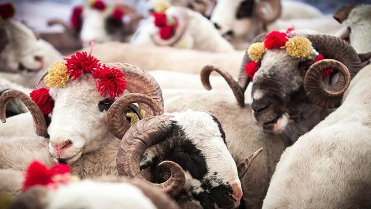 2024 KURBAN BAYRAMI NE ZAMAN