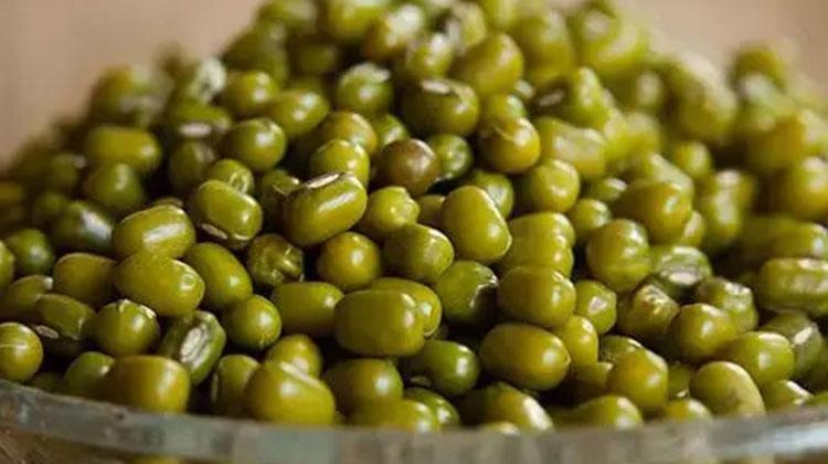 Tadına bakan bayıla bayıla yiyor Değerini Japonlar biliyor: Etten daha fazla protein içeriyor
