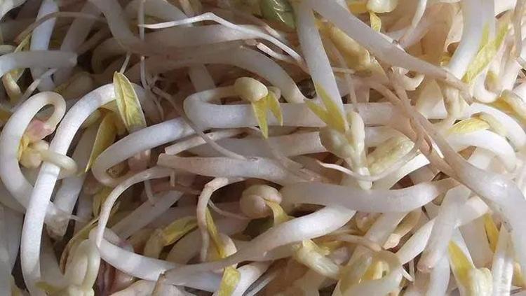 Tadına bakan bayıla bayıla yiyor Değerini Japonlar biliyor: Etten daha fazla protein içeriyor