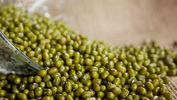 Tadına bakan bayıla bayıla yiyor Değerini Japonlar biliyor: Etten daha fazla protein içeriyor
