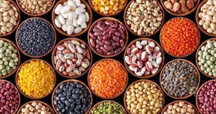 Tadına bakan bayıla bayıla yiyor Değerini Japonlar biliyor: Etten daha fazla protein içeriyor