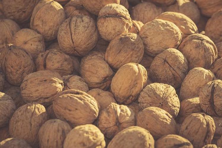 İngiltereden Amerikaya Şifası ülke ülke geziyor: Antioksidan, vitamin, omega-3 ne ararsan onda