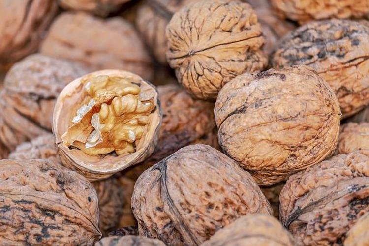 İngiltereden Amerikaya Şifası ülke ülke geziyor: Antioksidan, vitamin, omega-3 ne ararsan onda
