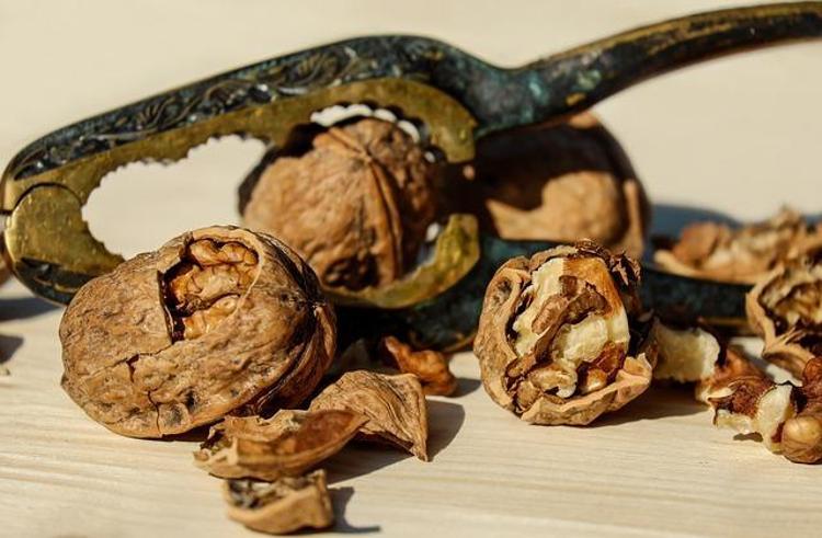 İngiltereden Amerikaya Şifası ülke ülke geziyor: Antioksidan, vitamin, omega-3 ne ararsan onda