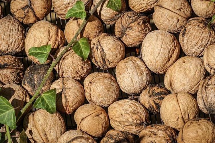 İngiltereden Amerikaya Şifası ülke ülke geziyor: Antioksidan, vitamin, omega-3 ne ararsan onda
