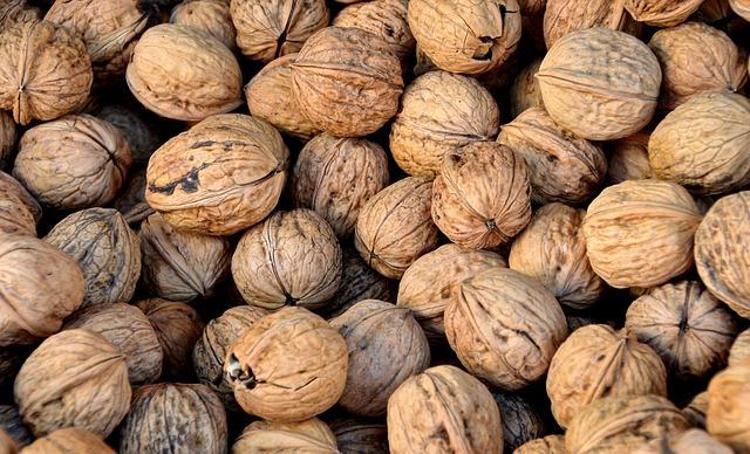 İngiltereden Amerikaya Şifası ülke ülke geziyor: Antioksidan, vitamin, omega-3 ne ararsan onda