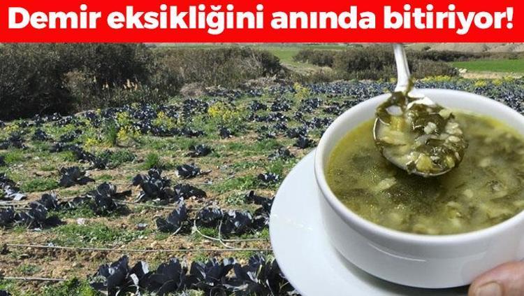 Demir eksikliğini anında bitiriyor: Dünyanın en kötü yemekleri arasında yer alıyor ama yiyen 100 yaşını görüyor