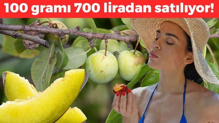 Doğal şeker ilacı: 100 gramı 700 liradan satılıyor  1 tanesi bile kan şekerini anında dengeleyip vücuda C vitamini yüklüyor