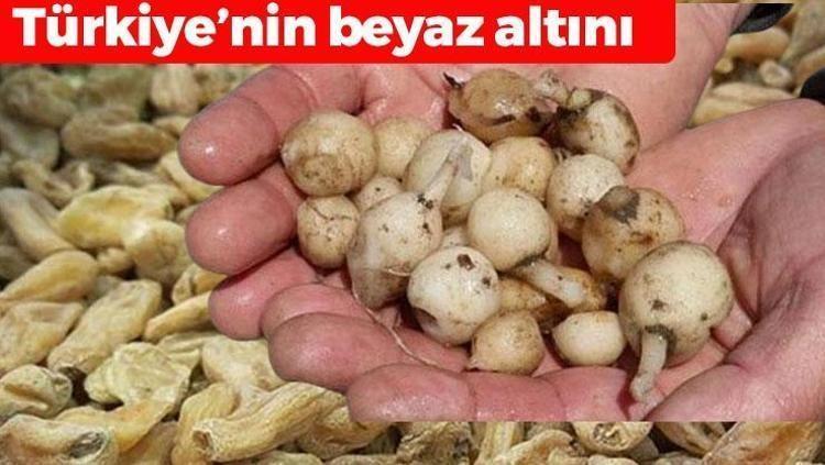 Kışın bardak bardak içiyoruz Türkiyenin beyaz altını: Kalsiyum ve proteinde yumurtayı ve sütü sollayan tek besin