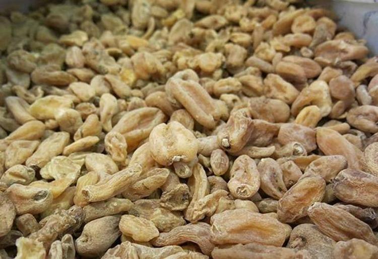 Kışın bardak bardak içiyoruz Türkiyenin beyaz altını: Kalsiyum ve proteinde yumurtayı ve sütü sollayan tek besin