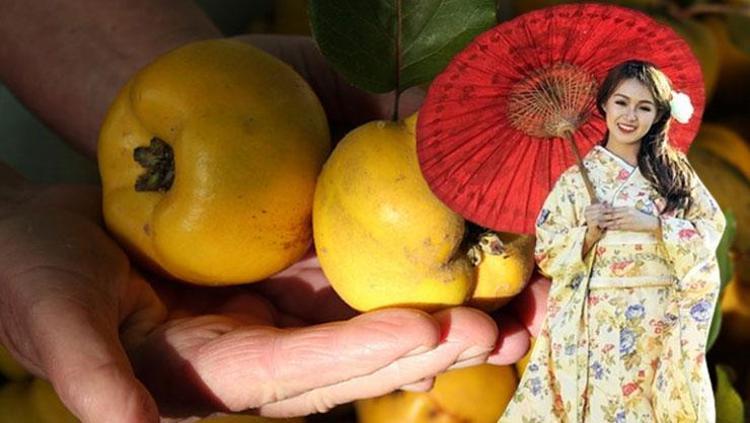 Koreliler bu meyvenin çekirdeklerini asla çöpe atmıyor Cildin cam gibi yapıyor, kolajen üretimini 2 kat artırıyor