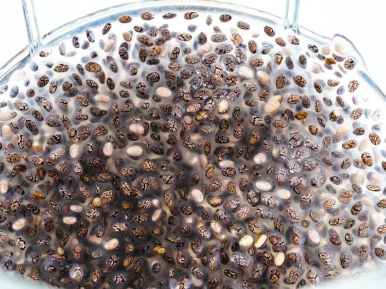 CHİA TOHUMU