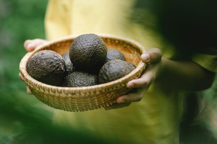 AVOKADO