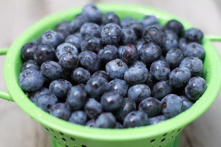 Karadenizde yetişiyor Kolesterolü, şekeri dengeliyor: Avuç avuç yiyen hastalanmaz