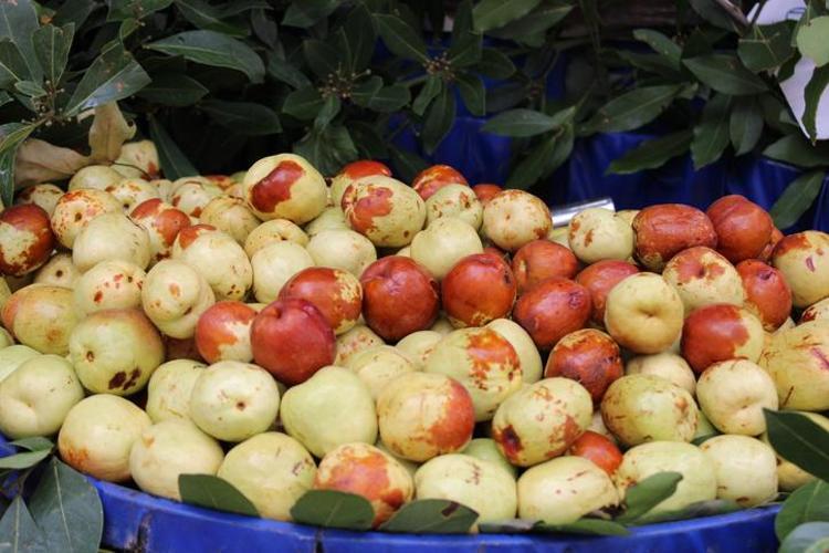 Antalya, Mersin ve Adanada yok satıyor Çinliler her gün 1 bardak içiyor: Gençliğin sırrı buymuş