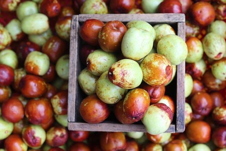 KANSERE KARŞI KORUYUCU ETKİ