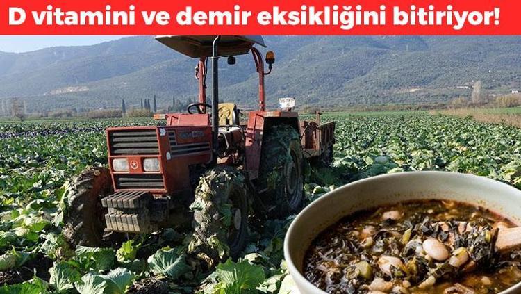 Karadenizliler haklıymış: D vitamini depolarını fulleyip demir eksikliğine son veriyor Uzmanlar ona süper besin diyor Yiyen 100 yaşını görüyor