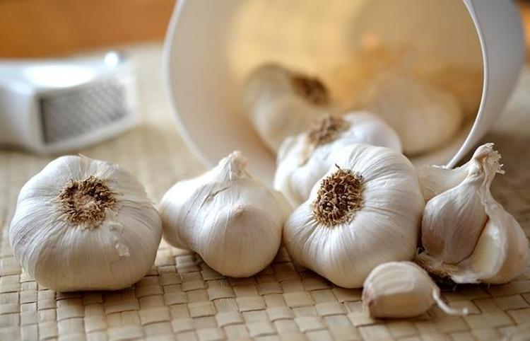 BAĞIŞIKLIK GÜÇLENDİRİCİ