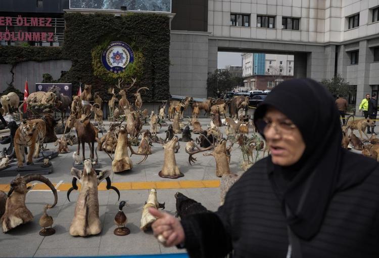 YAKINLARIMA GÖSTERMEK İÇİN KURDUM