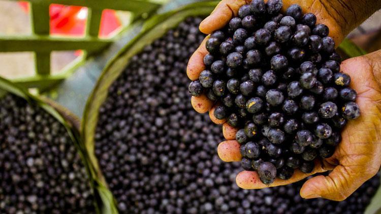 Doktorların bile hayranlıkla baktığı meyve: Portakaldan 10 kat fazla C vitamini barındırıyor