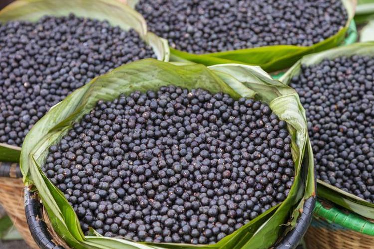 Doktorların bile hayranlıkla baktığı meyve: Portakaldan 10 kat fazla C vitamini barındırıyor