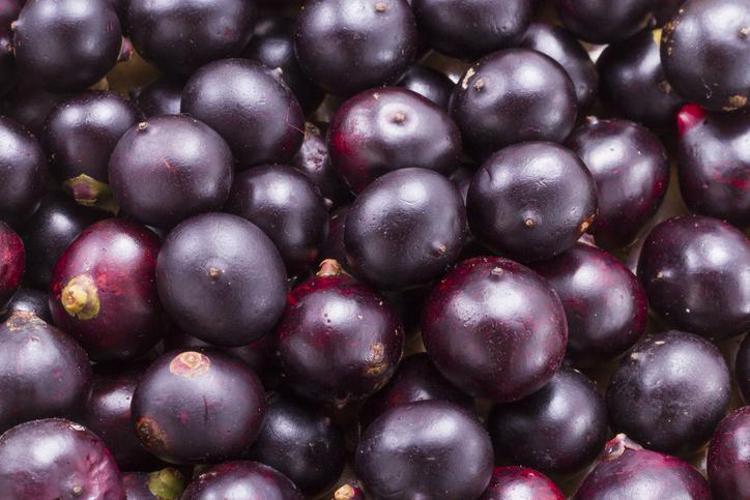 Doktorların bile hayranlıkla baktığı meyve: Portakaldan 10 kat fazla C vitamini barındırıyor
