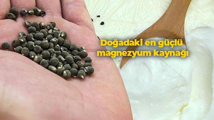 Kimse tüketmek istemiyor ama şifa deposu Yoğurdun içine koyup kaşık kaşık tüketin: Doğadaki en güçlü magnezyum kaynağı