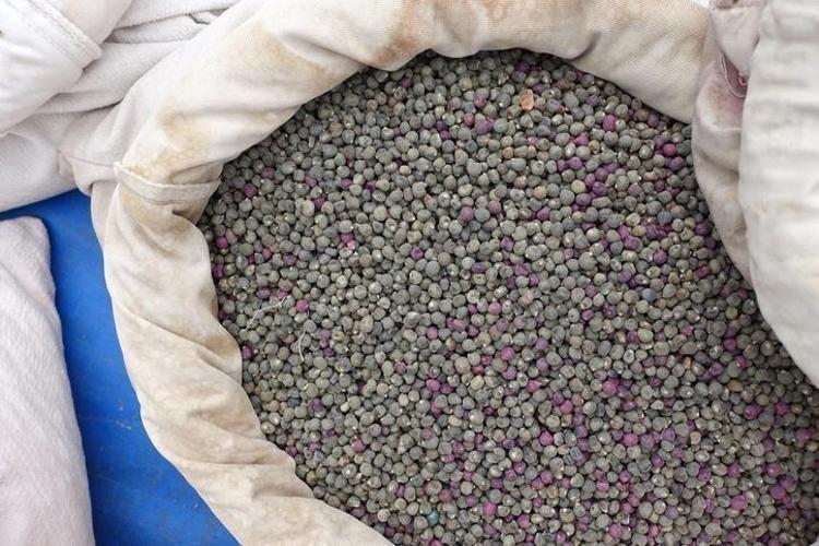 Kimse tüketmek istemiyor ama şifa deposu Yoğurdun içine koyup kaşık kaşık tüketin: Doğadaki en güçlü magnezyum kaynağı