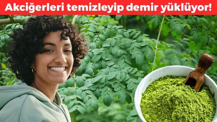 Hindistandan tüm dünyaya yayılıyor: Akciğeri anında tertemiz yapıp vücuttaki iltihabın kökünü kazıyor Demir eksikliğini bitiren de oymuş