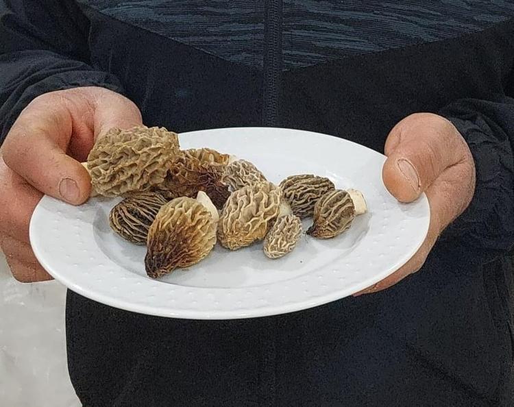 Türkiyede bu yıl bolluk yaşanıyor Pazar tezgahında yerini aldı: Organlardaki iltihap söküp atıyor, resmen antioksidan kralı
