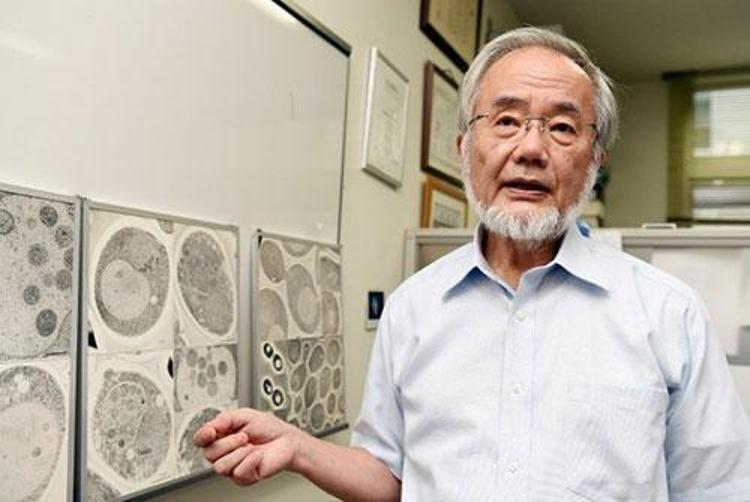 Japon bilim insanı ispatladı: Oruç tutan insanlar bu hastalıkları çabuk yeniyor