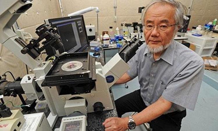 Japon bilim insanı ispatladı: Oruç tutan insanlar bu hastalıkları çabuk yeniyor