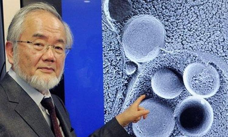 Japon bilim insanı ispatladı: Oruç tutan insanlar bu hastalıkları çabuk yeniyor