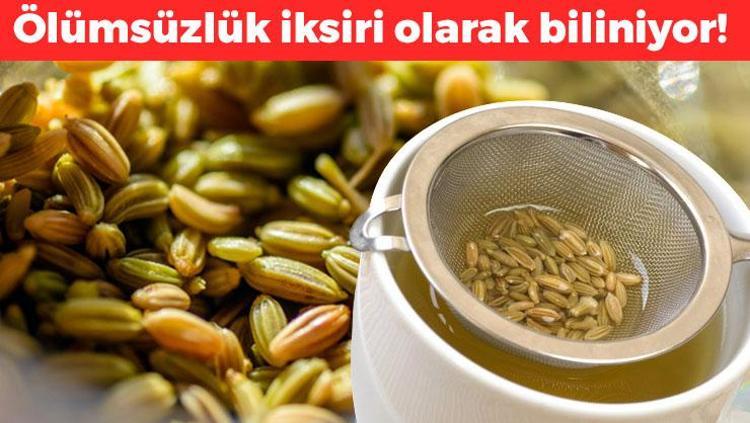 Ölümsüzlük iksiri olarak biliniyor: Bağırsakları motor gibi çalıştırıp iltihabın kökünü kazıyor Günde 2 bardak içen 10 yaş gençleşiyor