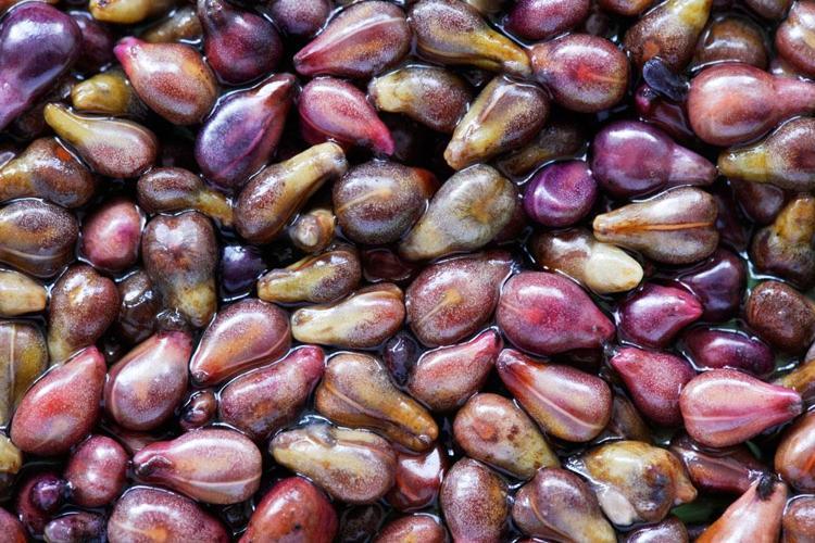 10 yaş birden gençleşmek mümkün Tek damlada yaşlılık izlerini siliyor