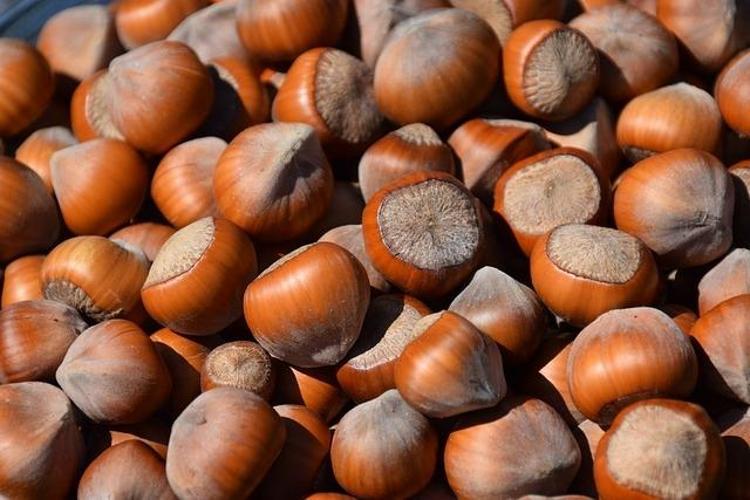 MİNERAL VE VİTAMİN KAYNAĞI