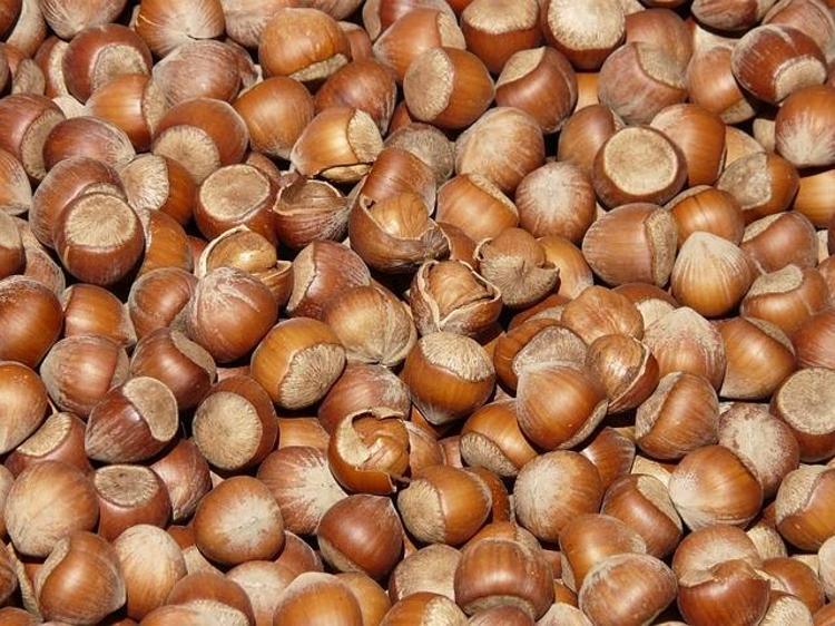 Canan Karatay ısrarla tavsiye etti: Bol bol yiyin, kabuğunu da kaynatıp için Cildi 10 yaş gençleştirip kabızlığı anında bitiriyor