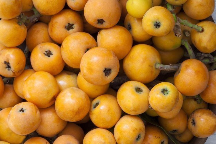 C VİTAMİNİ ZENGİNİ