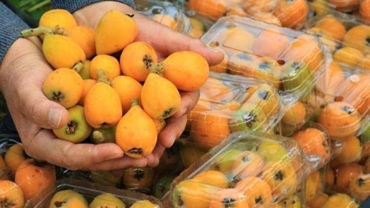 Potasyum, kalsiyum, C vitamini ne ararsan onda Kilosu 100 TL: Böbrek ve mesane taşlarını anında düşürüyor