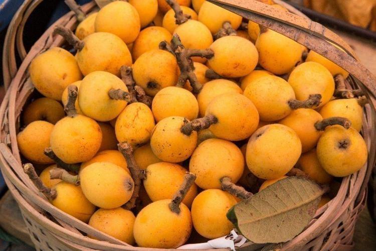 ANTİOKSİDANLARLA DOLU