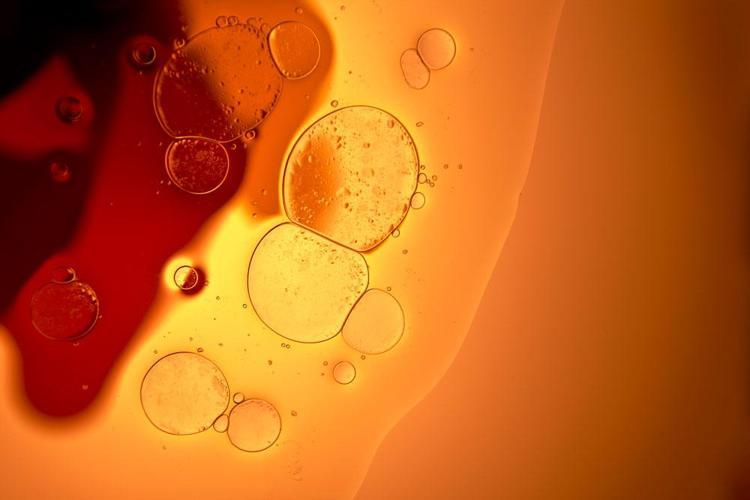 Gece sürünce kolajen etkisini 2 kat artırıyor Tek bir damlası kırışıklıkları ütü gibi düzleştiriyor