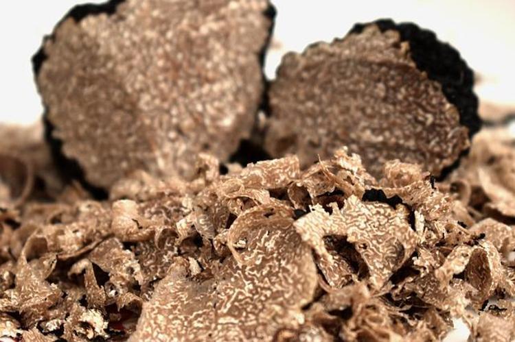 Türkiyede doğada yetişiyor ama vücudu zehirliyor 100 çeşidi var, ayırt etmek zor: Organları çürütüp ölüme kadar götürüyor