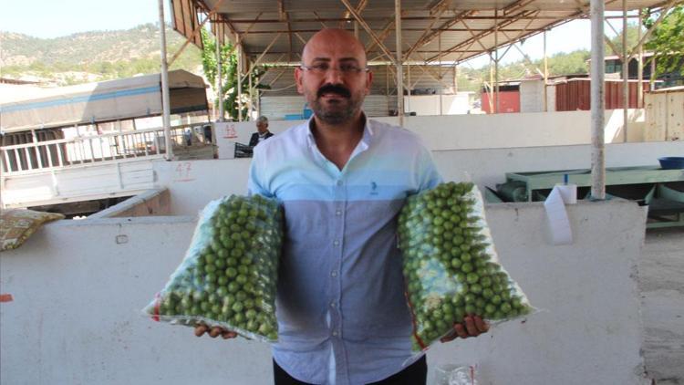 Mersinde yetişiyor, kilosu 350 TLyi buldu Avrupadan Rusyadan talep yağıyor