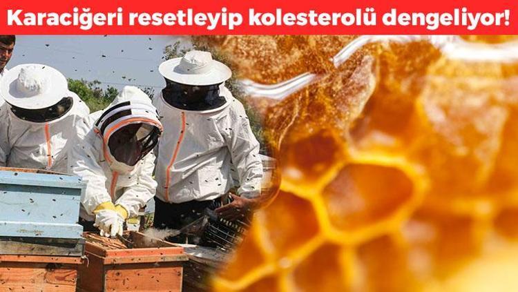 Kalsiyum fosfat, C vitamini ve demir zengini Kilosu 400 TL: Karaciğeri resetleyip kolesterolü dengeliyor
