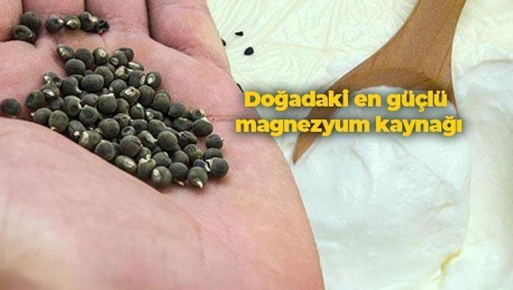 Kimse tüketmek istemiyor ama şifa deposu Yoğurdun içine koyup kaşık kaşık tüketin: Doğadaki en güçlü magnezyum kaynağı